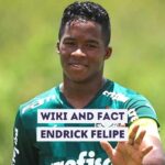 Endrick Felipe Wiki and Fact