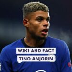 Tino Anjorin Wiki and Fact
