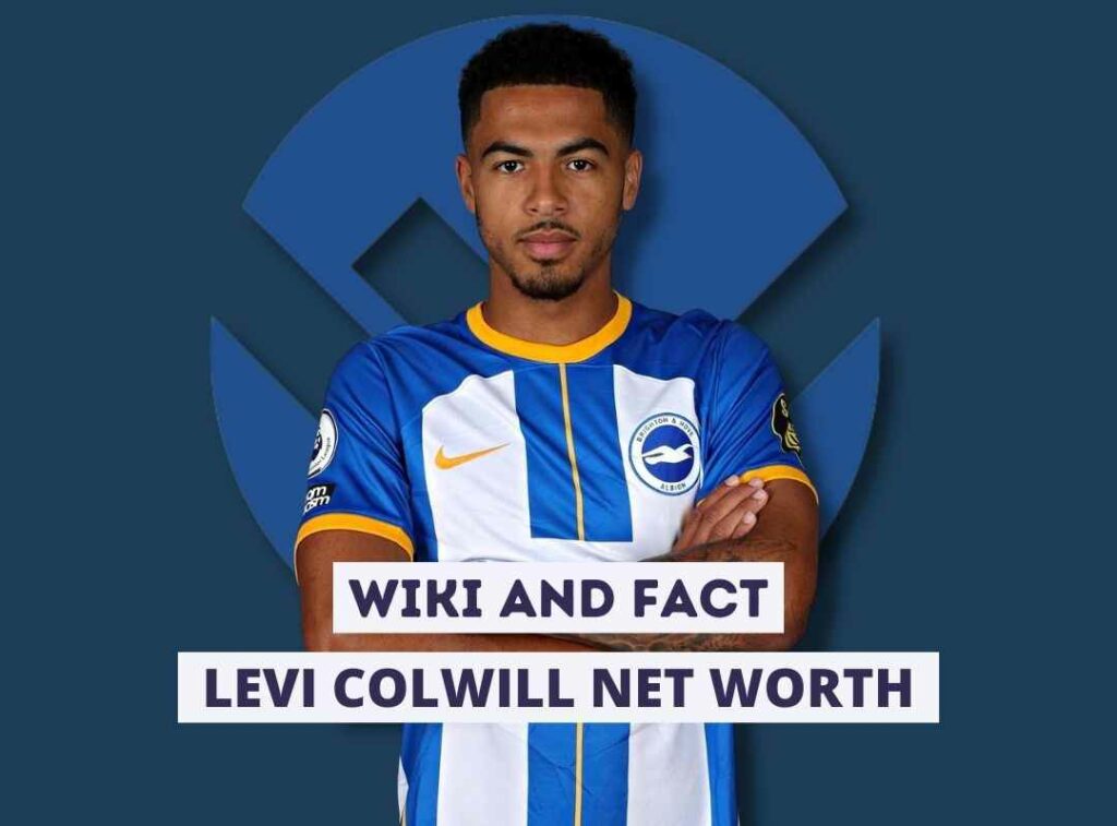 Levi Colwill Net Worth